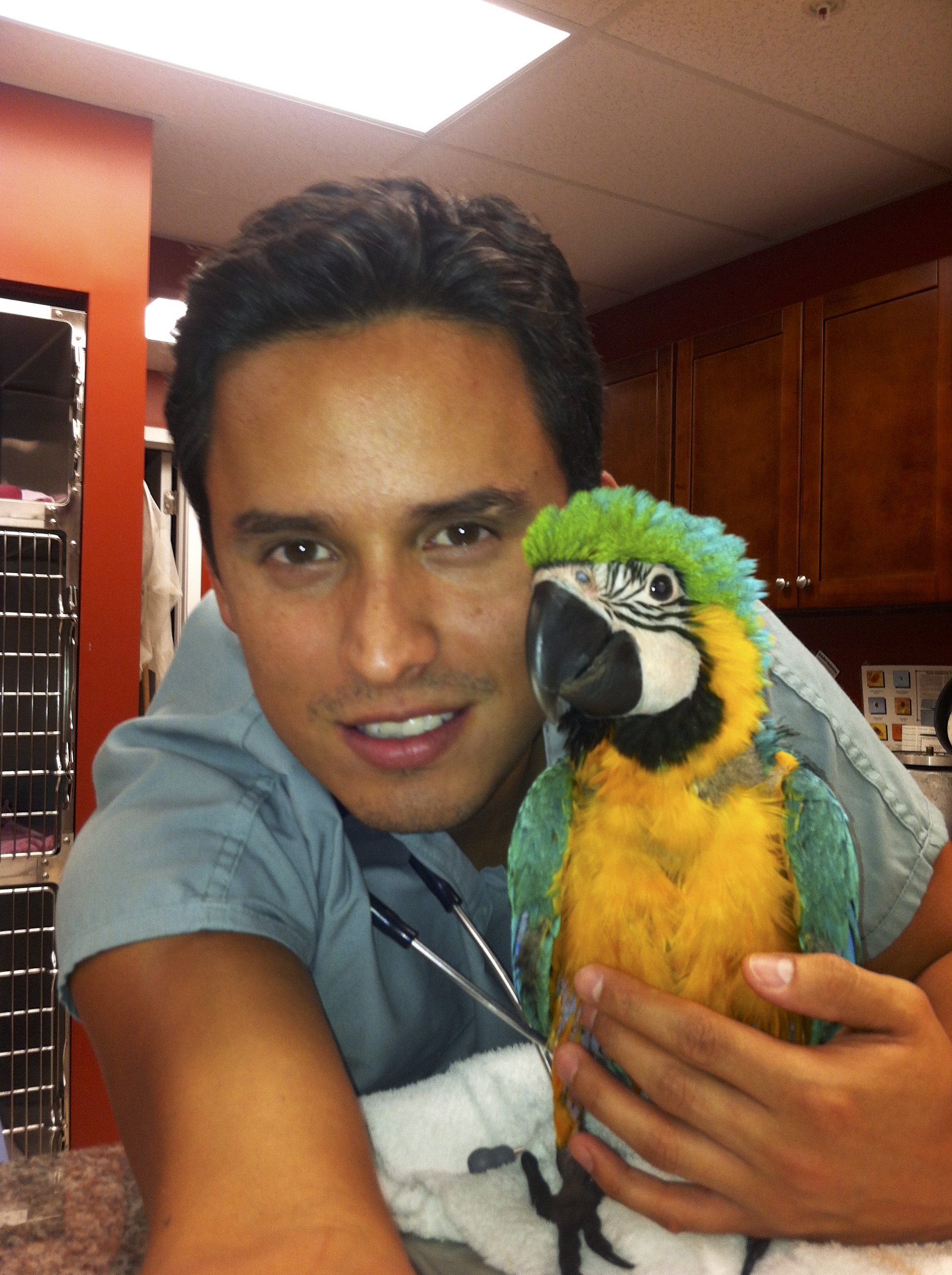 Exotic Animal Hospital of Orlando, Exotic Animal Veterinarian